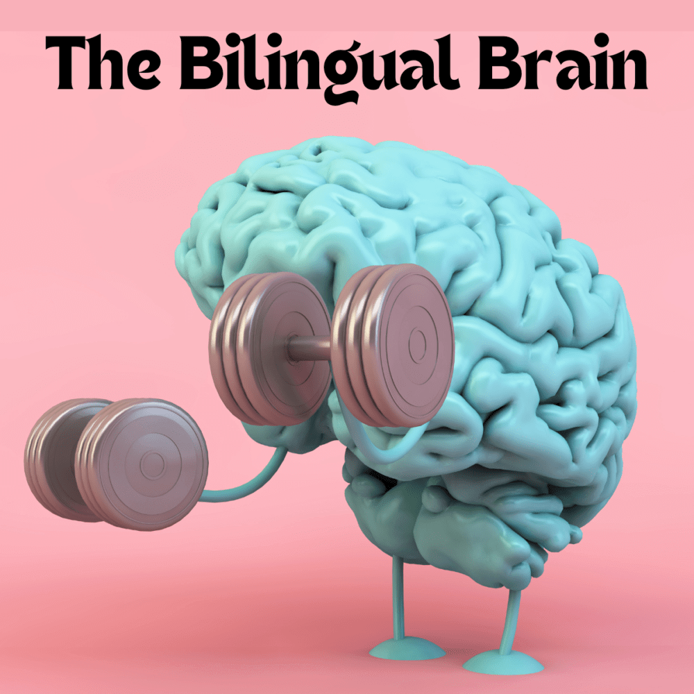 speaking slowly - Speech-Language Therapy & Accent Reduction Coach bilingual